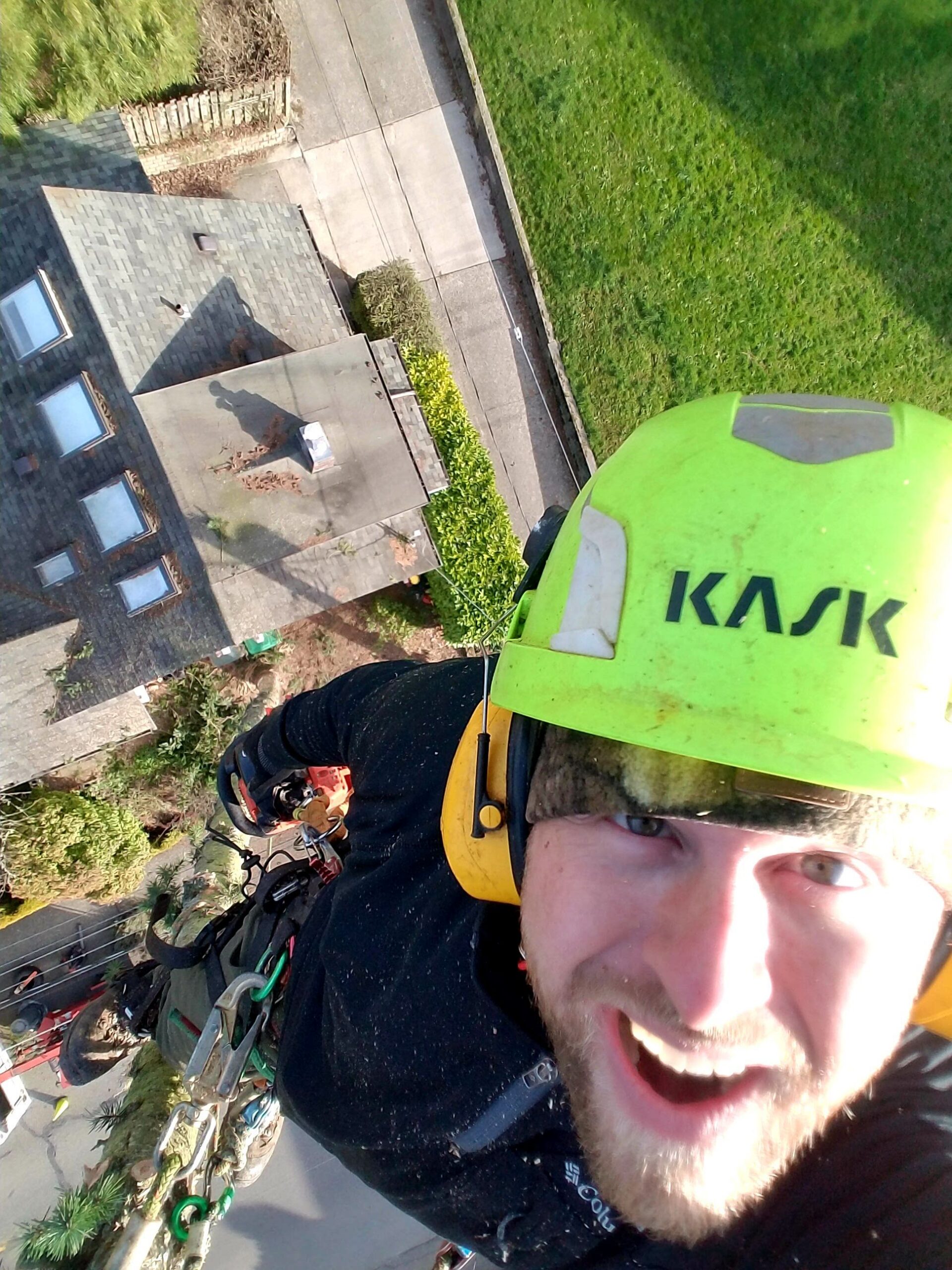 Canopy Solutions tree care