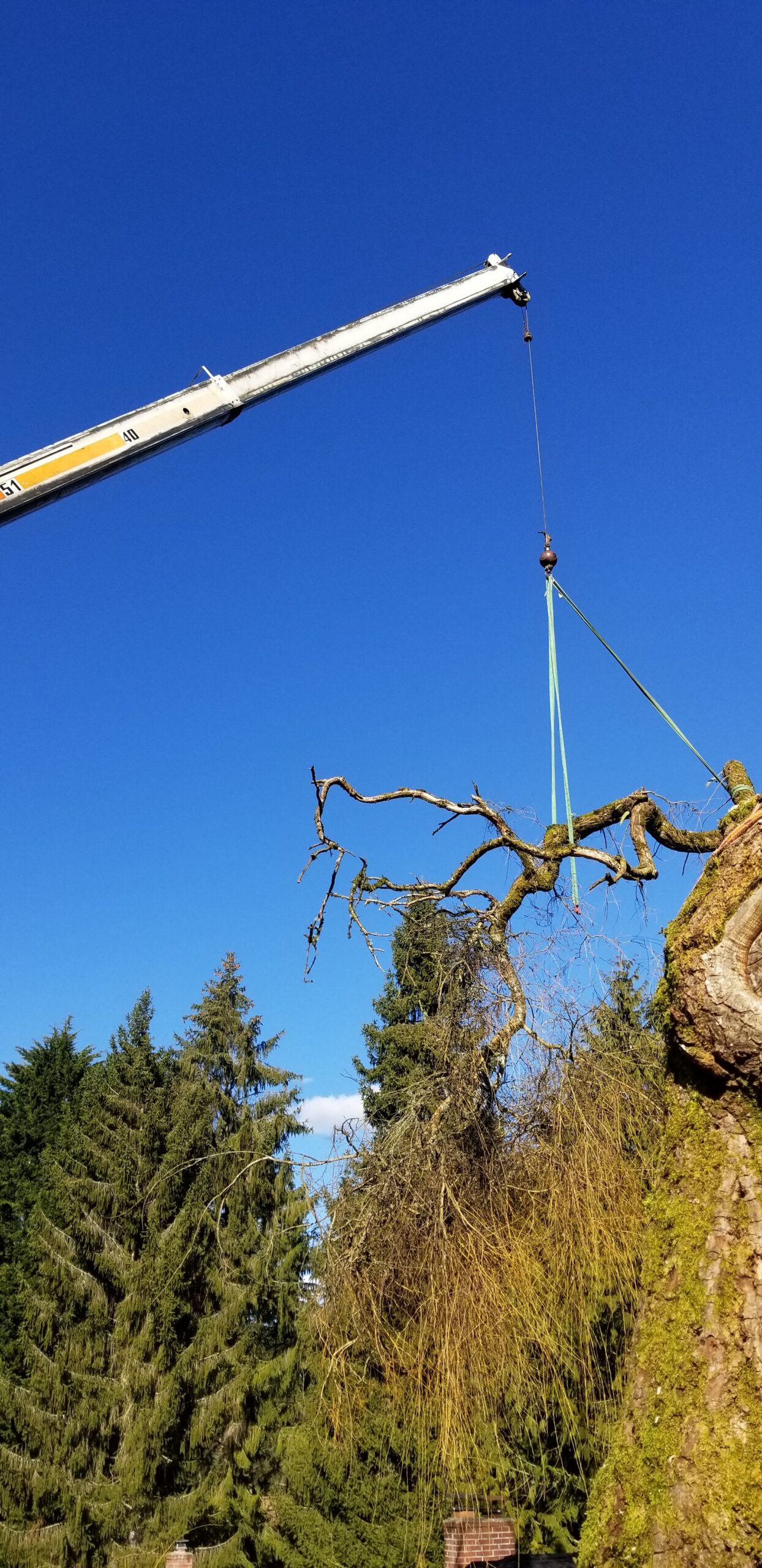 Canopy Solutions video gallery