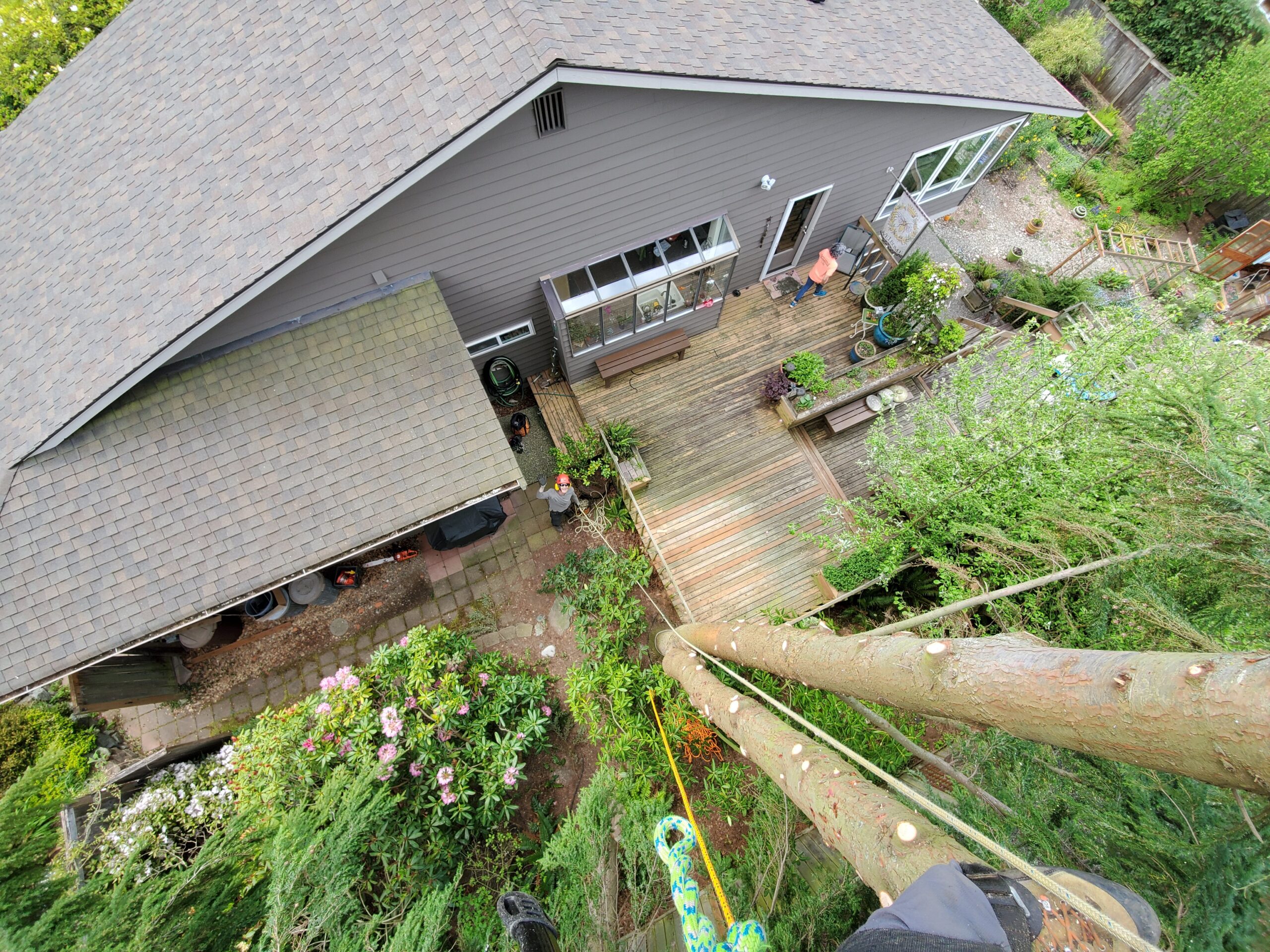 Canopy Solutions project